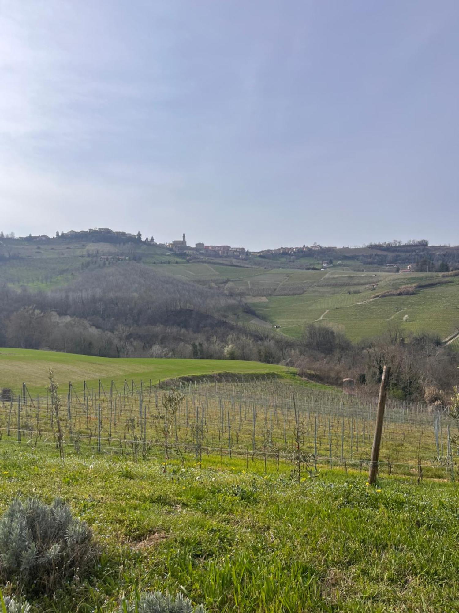 Готель Le Cornici - Cascina Di Charme Діано-д'Альба Екстер'єр фото