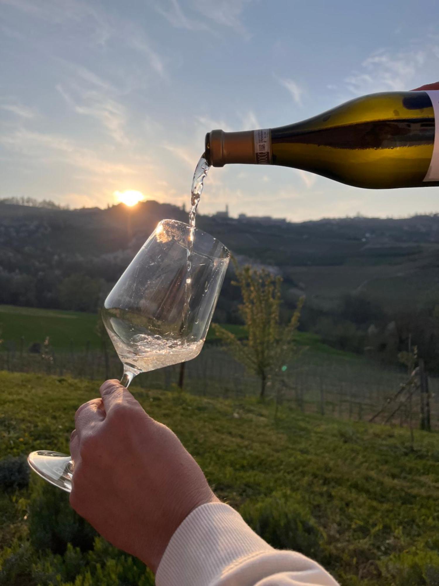 Готель Le Cornici - Cascina Di Charme Діано-д'Альба Екстер'єр фото